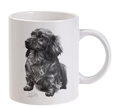 Amazon Com Mike Sibley Long Haired Dachshund White Mug Kitchen