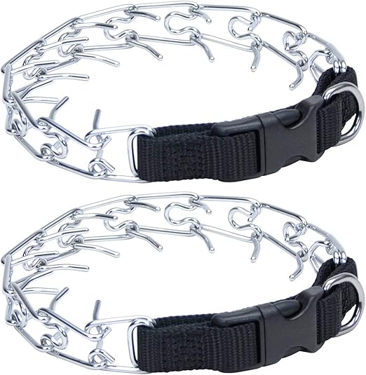 titan prong collar