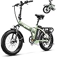 bluebiko 1000W Folding Electric Bike, 48V 20AH Large Removable Battery E Bike, 30+MPH, 80 Miles Max Range, 20" Fat Tire Electric Bike for Adults, Adult Electric Bicycles for Commute Beach Snow