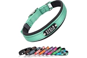 Yonsbox Personalized Reflective Dog Collar with Silent Engraved Nameplate | No-Jingle, No-Slip, Comfortable & Durable Nylon C