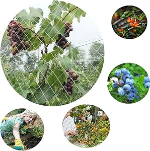 Ruber Malla de jardín Blanca para Cosecha, Malla para pájaros ...
