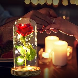 ShangTianFeng Room Decor, Rose Night Light, Best Gift for Mom,Gifts for Girlfriend,Red Rose with Light