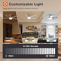 addlon Ceiling Fans with Lights, 42 Inch Low