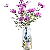 FANTESTICRYAN Ins Modern Glass Vase Irised Crystal Clear Glass Vase for Home Office Decor (Irised Clear)