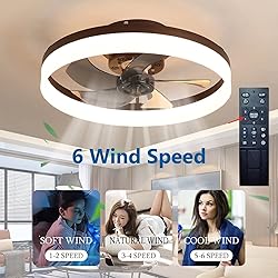 LCYFBE 20" Small Bladeless Ceiling Fan with Lights