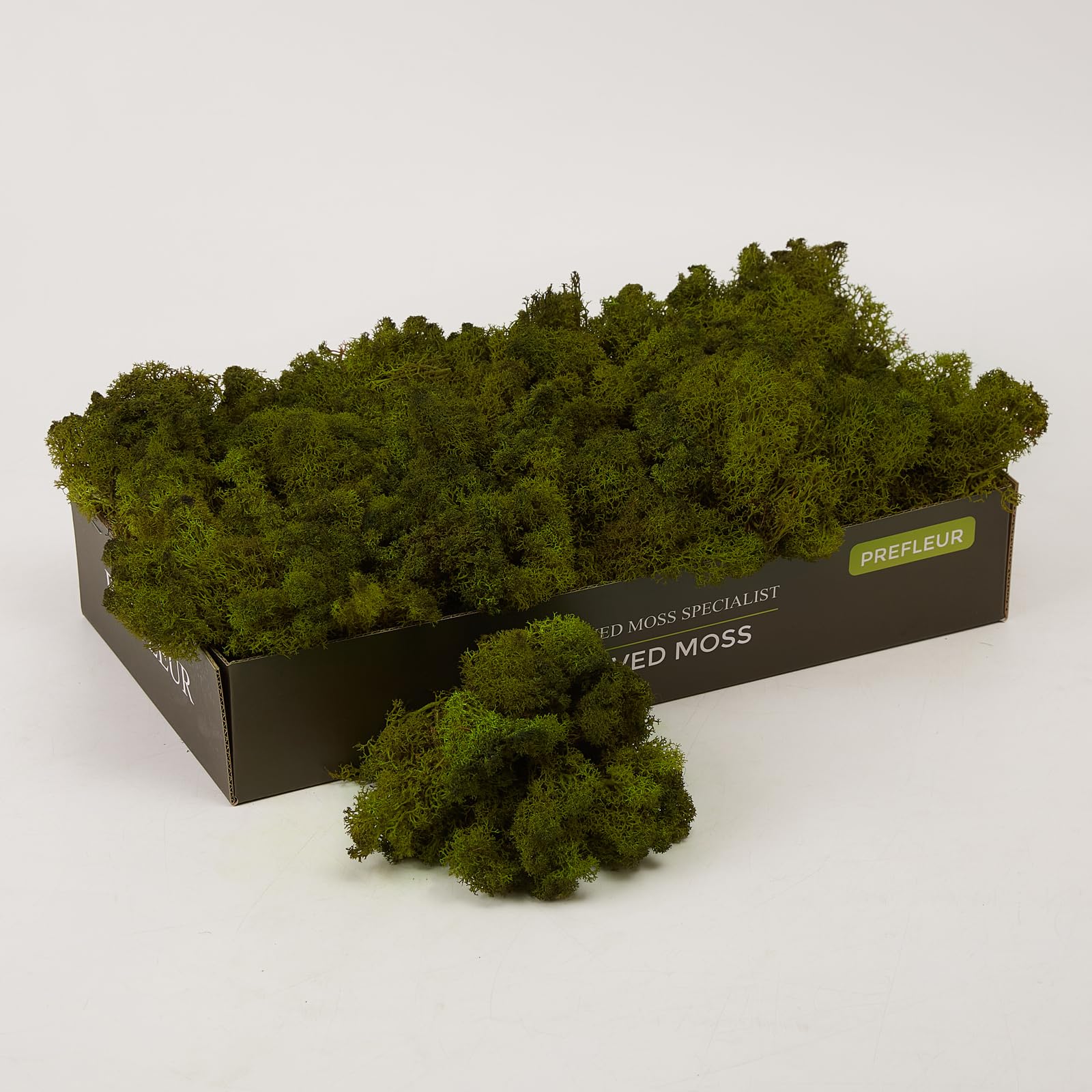 Photo 1 of Prefleur Preserved Reindeer Craft Moss Natural DIY Kit Gardening Art Wall Olive Green Florist Easter Table Décor Wedding(0.85lb)(Green-11)