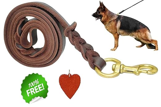 SRI SRI Leather Training Dog Leash 10 Feet for Medium Dogs-Width-1 cm (Tan-Brown), Brown, Medium, 250 g