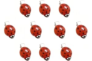 10 Pcs Fun Ladybug Hair Clips Funky Insect Bug Hair Clips for Teen Girls Women Cute Decorative Whimsical Accessories for Hall