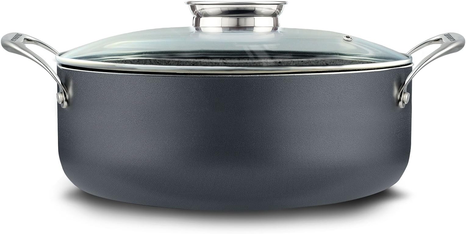 Pensofal Pen 5521 Invictum Professional Oval Casserole W/INOX Side Handles and Glass Lid-Diameter 21 cm, Grey