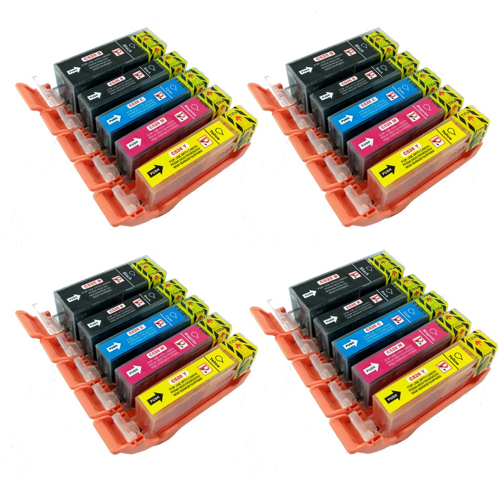 PerfectPrint Compatible Ink Cartridge for Canon Pixma iP4850 iP4950 iX6550 MG5150 MG5250 MG5300 MG5320 MG5350(Black/Cyan/Magenta/Yellow, 20-pack)