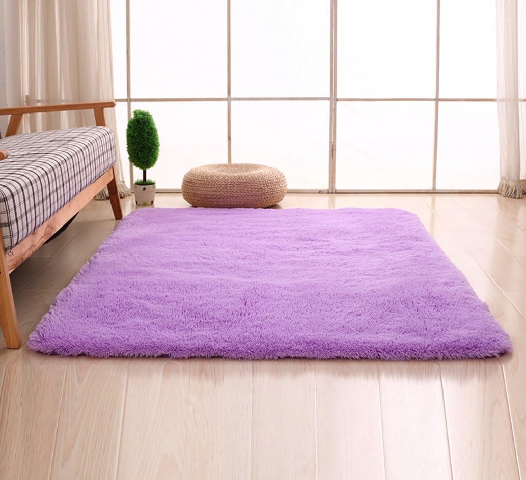 Bnxbb Ultra Soft 4Cm Thick Indoor Fluffy Thick Indoor Area Rug for Home Decor Living Room Bedroom Kitchen Dormitory Rectangle,Size:24 x 47 Inch (60Cm X 120Cm) Purple