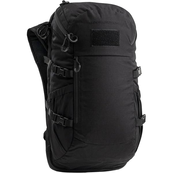 Amazon.com: Mystery Ranch Urban Assault 21 Backpack - Inspired by