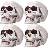 Sratte 4 Pcs 4.3 Inch Halloween Plastic Skull Human Skeleton Model | Realistic Bone Model with Texture Details, Life Size Adult Head for Haunted House Party Table, Spooky Scene Prop Decor