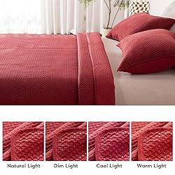 KASENTEX Plush Poly Velvet Lavish Design Quilt Set