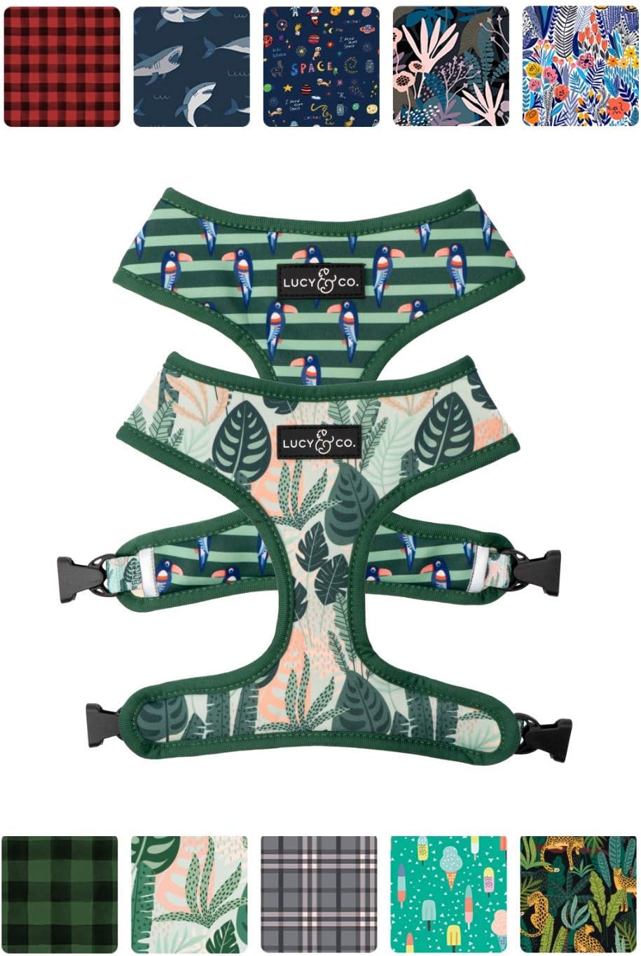 lucy and co dog harness