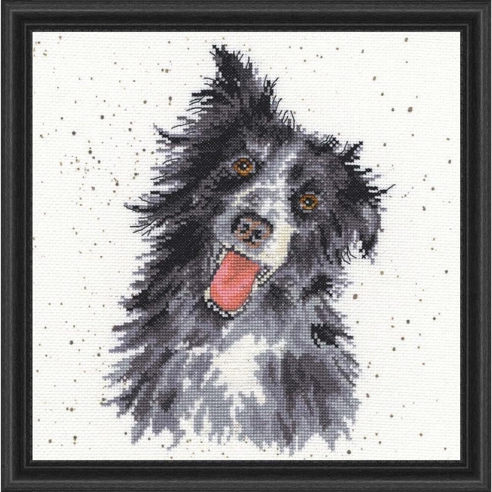 Bothy Threads Cross Stitch Kit - Wrendale Designs - Collie, multicoloured, 26x26cm