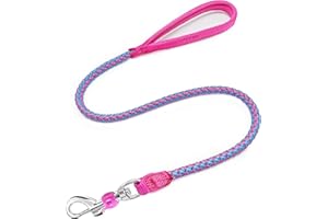 Mycicy 2/3/4/6/10 Foot Reflective Dog Leash Strong Nylon Rope Braided Heavy Duty for Large and Medium Small Dogs Walking Training Leads (Pink, 3ft * 1/2")