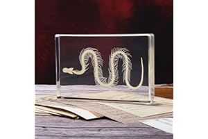 ABURRORI Taxidermy Snake Skeleton Insect in Resin, Real Snake Skeleton Specimens Animal in Acrylic Block Paperweights Specimen for Science Education Desk Decor (Snake Skeleton)