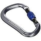 Black Diamond Rocklock Screwgate Carabiner