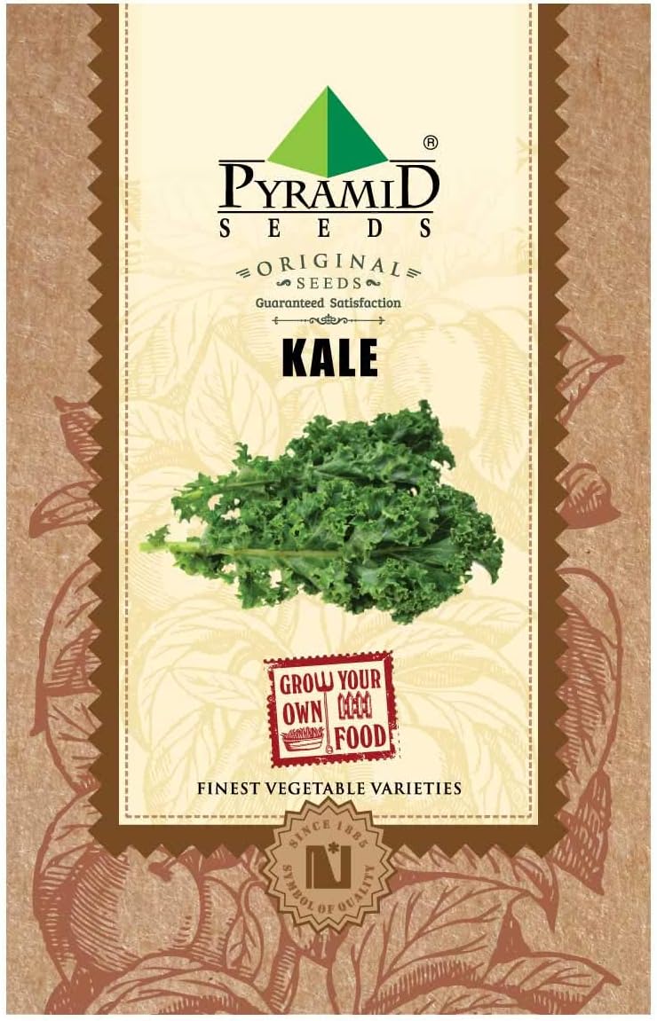 Pyramid Seeds Pyramid Kale vegetable Seeds (1g, 250 Seeds)