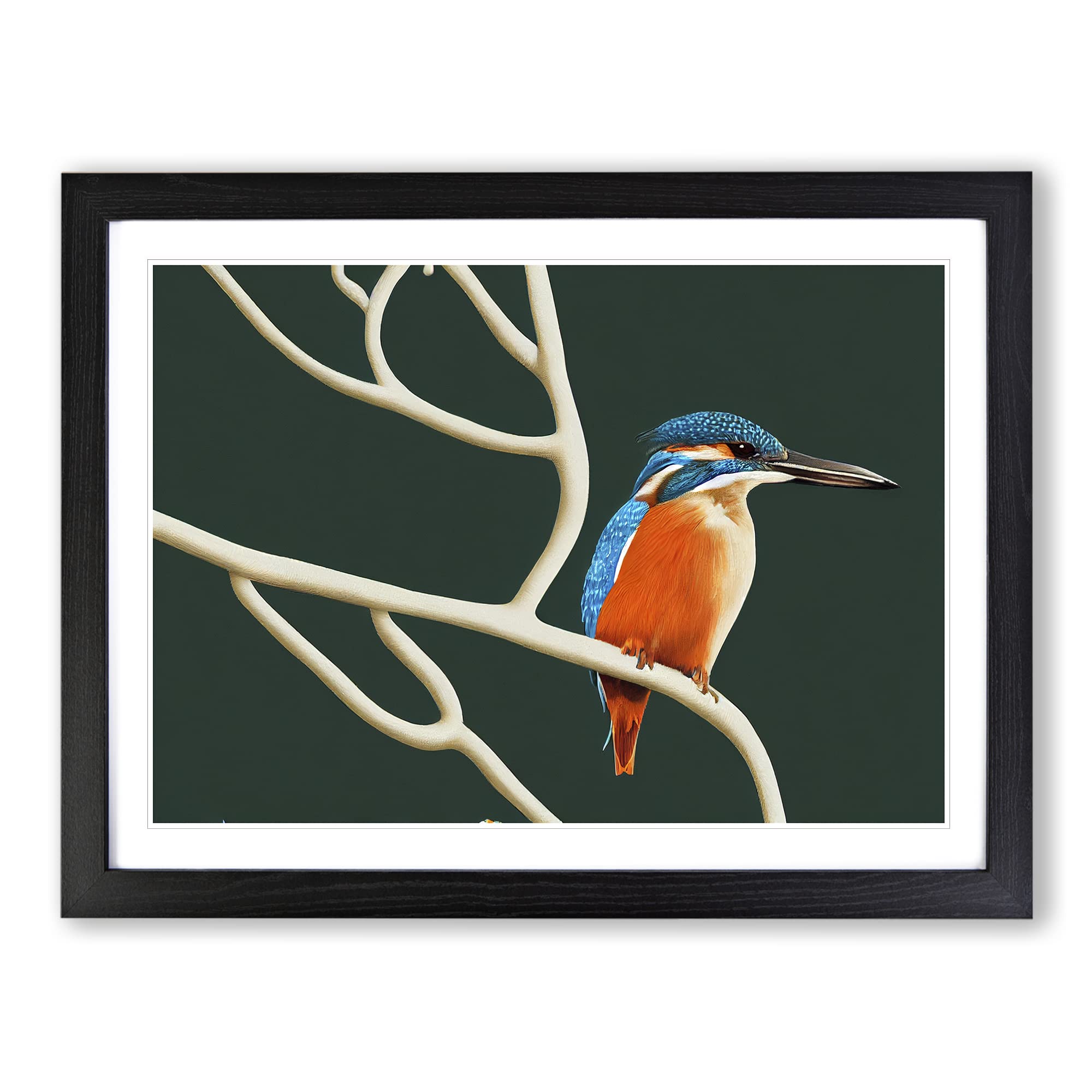 Awe Inspiring Kingfisher Bird Framed Print | A4 Black Framed Wall Art | Ready to Hang | Modern Nature Picture | Living Room Bedroom Lounge Office