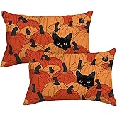 AVOIN colorlife Fall Pumpkins Throw Pillow Covers 12x20 Inch, Black Cat Seasonal Autumn Thanksgiving Harvest Decoration for Sofa Couch Farmhouse Set of 2