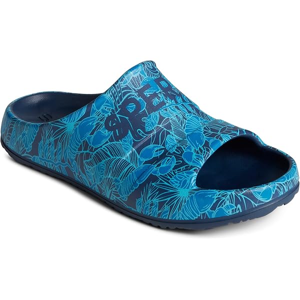 Amazon.com | Sperry Men display picture 1