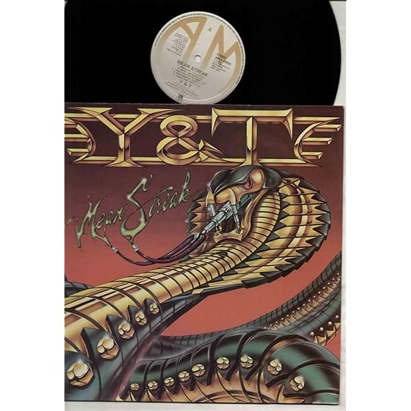 Y&T, OPEN FIRE, LP, UK, A&M, METAL - open fire LP - Amazon.com Music