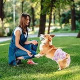 Aomig Reusable Dog Nappies 3 Pcs Absorbent Washable Female Pet Diapers L view 2