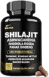 DLNIA 8-in-1 Shilajit for Men & Women with