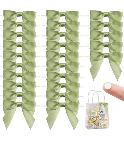 Rainbow Pana Lot de 60 nœuds torsadés pour sacs à friandises - 6,3 cm