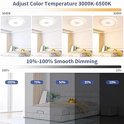 LED Ceiling Light Fixture with Bluetooth