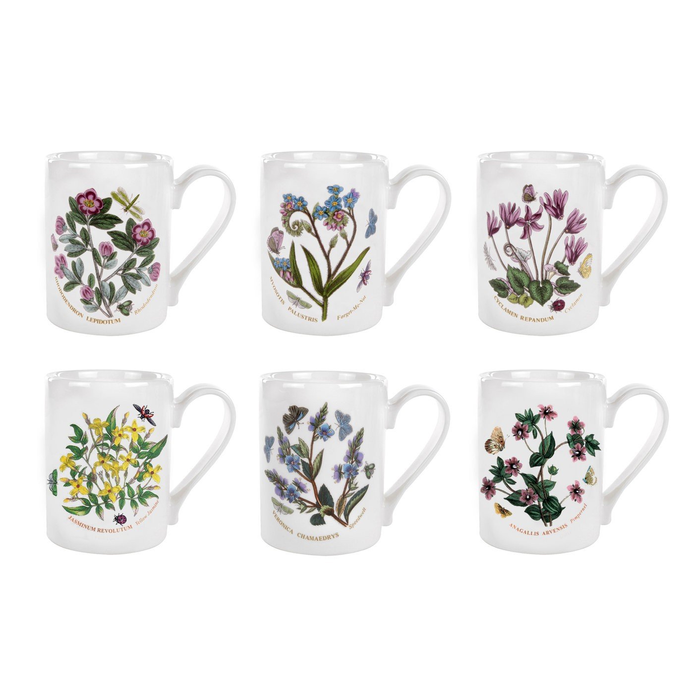 Botanic Garden Coffee Mugs 10oz - Set of 6