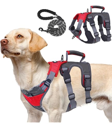 Dog Harness Dog Walking Gear Comfort Dog Harness Wild One