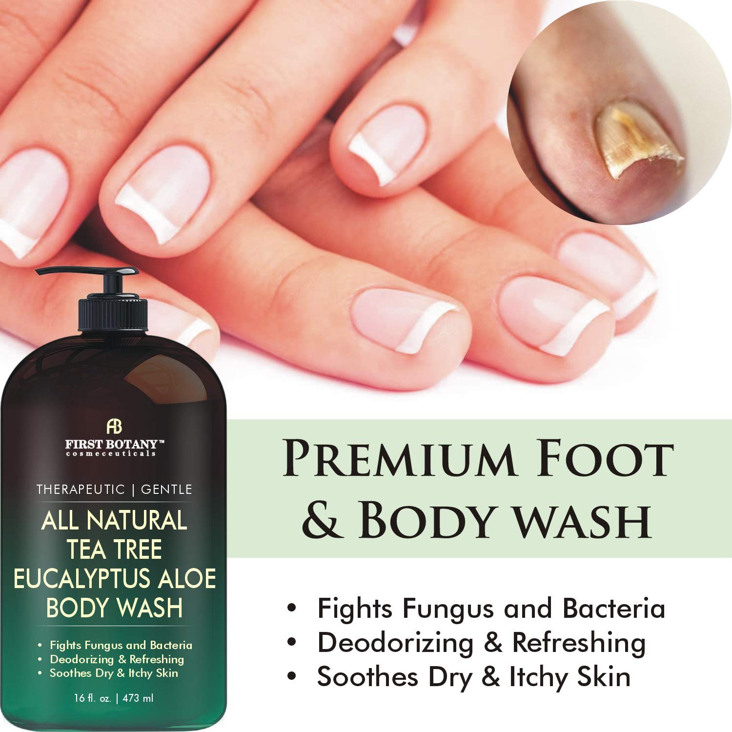 ALL Natural Tea Tree Body Wash - Fights Body Odor, Athlete’s Foot, Jock Itch, Nail Issues, Dandruff, Acne, Eczema, Yeast Infection, Shower Gel for Women & Men, Eucalyptus Aloe Skin Cleanser -16 fl oz : Beauty
