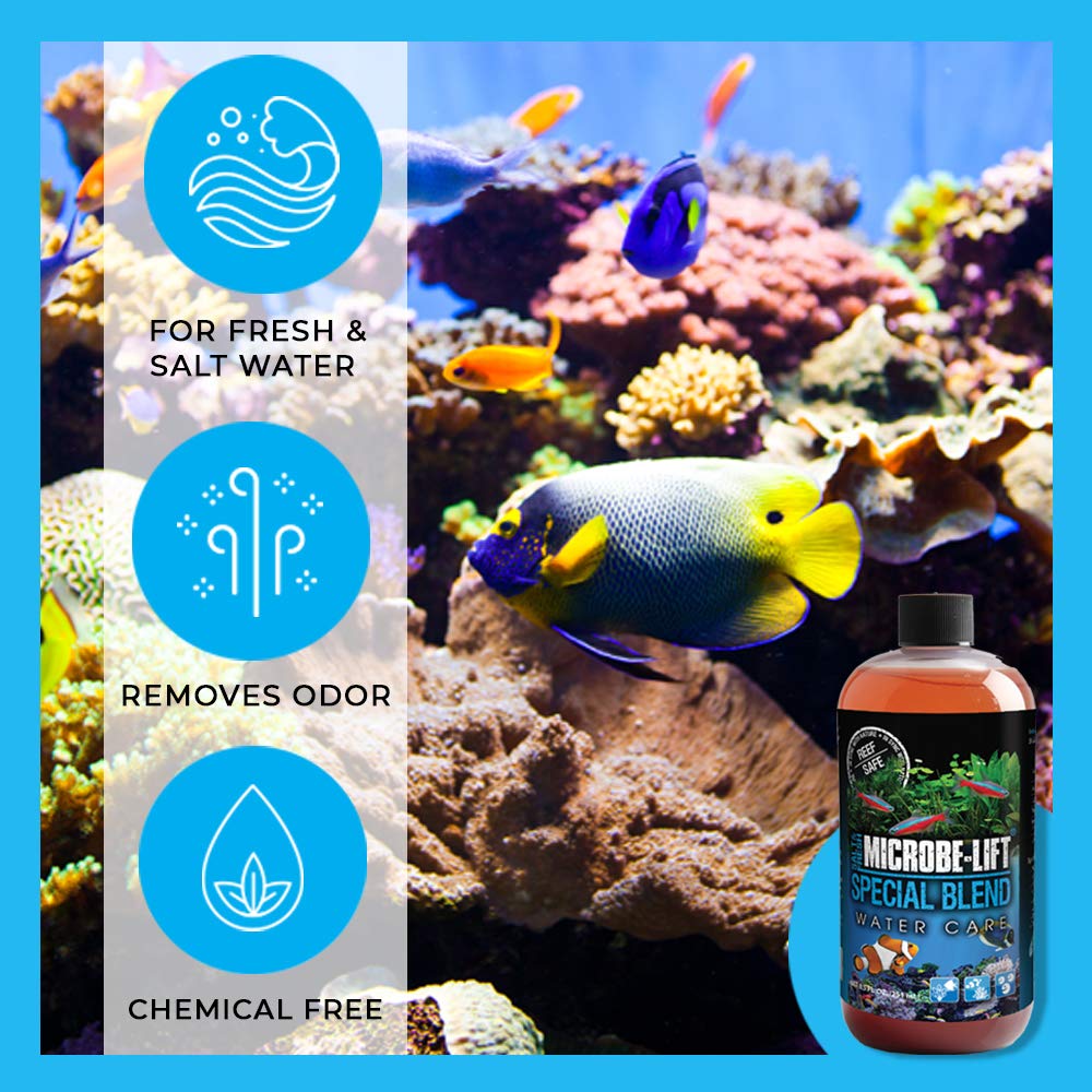 Microbe Fish Tank Mua Microbe-Lift SBH04 Special Blend Aquarium and Fish Tank Cleaner for ...