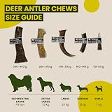 Floppy Ear Deer Antler Chew Extra Large 240-300g Dog Treat view 5