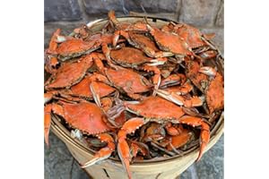 CAMERON'S SEAFOOD -EST. 1985 - Cameron's Seafood Maryland Blue Crabs Males Jimmys Steamed (Half Dozen)
