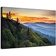 Large Nature Wall Art Great Smoky Mountains Canvas Pictures for Bedroom National Park Foggy Forest Wood Framed Painting Sunrise Photo Artwork Misty Landscape Living Room Dinner Home Decorations 32x48