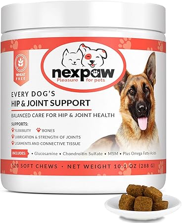 healthspan glucosamine for dogs