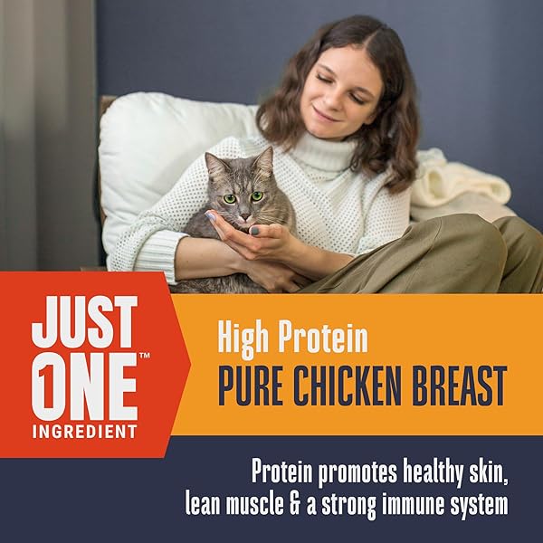 WHOLE LIFE CAT JUST ONE CHICKEN FREEZE DRIED CAT TREATS – HUMAN GRADE HIGH PROTEIN FOOD, HEALTHY TRAINING SNACKS, FREEZE DRIED CHICKEN FOOD TOPPERS, USA MADE NATURAL TREATS – 9 OZ (PACK OF 1)