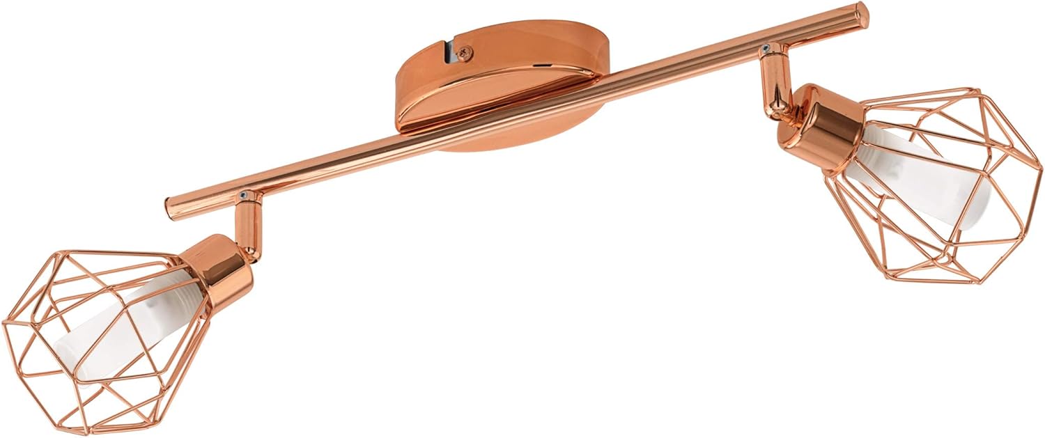 Eglo LED Ceiling lamp Zapata, 2-Light Ceiling Spotlight, Metal and Frosted Glass Ceiling Light