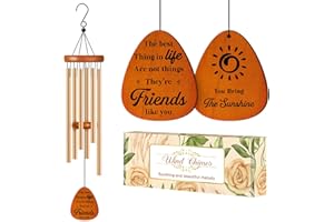 DAMAIGIIFT Friendship Gifts for Women, Best Friend Birthday Gifts for Women, Friends, Bestie, Soul Sister, Female, Friend Gift Wind Chimes for Birthday, Thanksgving, Christmas, BFF Friendship Gift Ideas