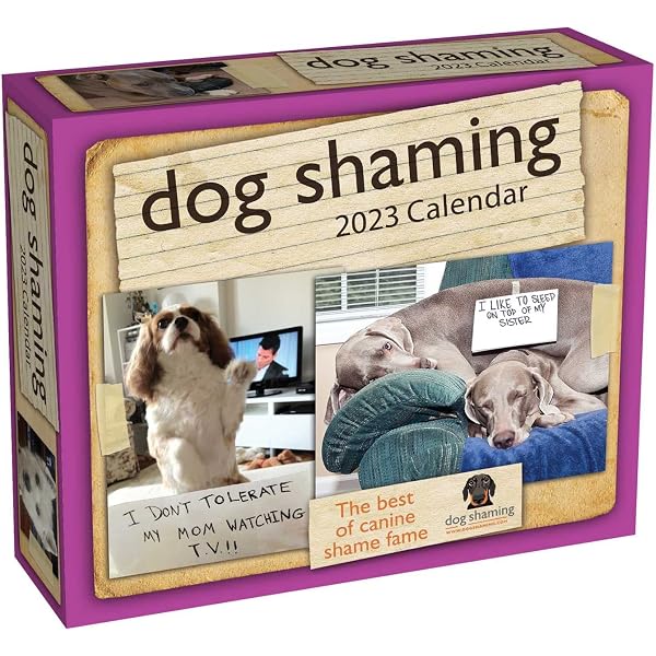 the-daily-boop-2023-day-to-day-calendar-by-boop-my-nose-noseboops-com-bobiliah-llc-9781524871079-amazon-com-books