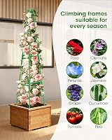 MYMULIKE Garden Trellis 165cm Obelisk Plant Support Tower for Climbing Vines view 8