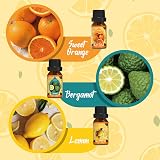 SALKING Citrus Burst Essential Oils Set 6 Aromatic Oils Sweet Orange Bergamot view 3
