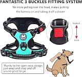 PoyPet No Pull Dog Harness Reflective Front & Back Clips Mint Blue Medium view 4