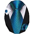 Barry.Wang Classic Mens Ties Silk Necktie Pocket Square Cufflinks Set Woven Designer Wedding Business
