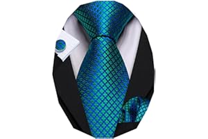 Barry.Wang Classic Mens Ties Silk Necktie Pocket Square Cufflinks Set Woven Designer Wedding Business