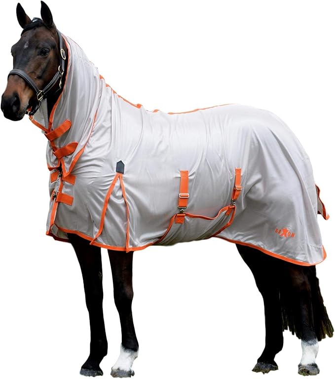 7 Best Fly Sheets For Horses Best Horse Rider